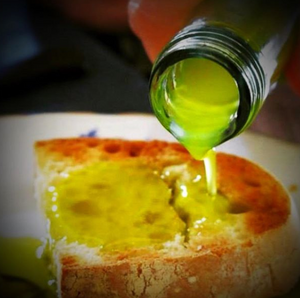 Which Olive Oil has the Most Oleocanthal?