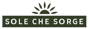 600 MG. HIGH POLYPHENOLS! HEALTHIEST EXTRA VIRGIN OLIVE OIL. (3 Liter) ORGANIC. Sole che Sorge